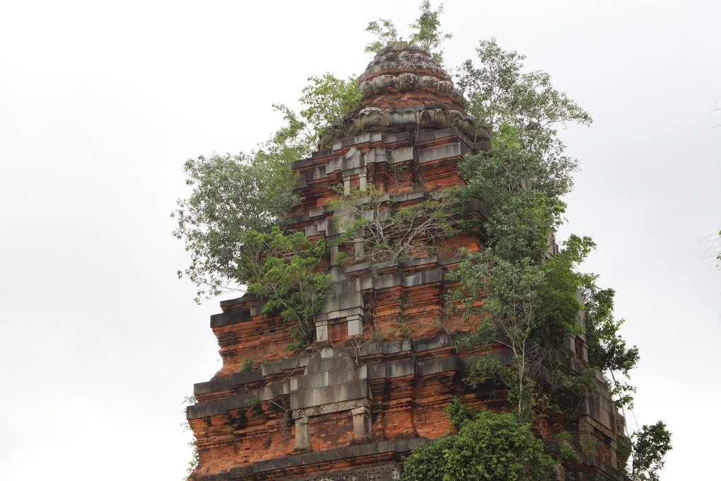 Đầu tư hơn 90 tỷ đồng tu bổ cụm tháp cổ bằng gạch cao nhất Đông Nam Á - 2 Đầu tư hơn 90 tỷ đồng tu bổ cụm tháp cổ bằng gạch cao nhất Đông Nam Á - 2