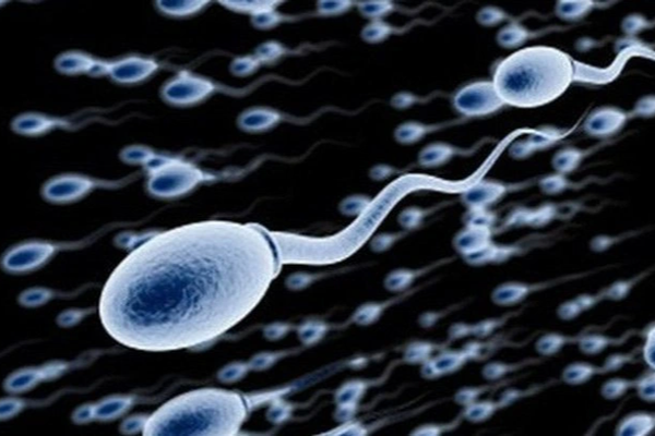 Không có tinh trùng, nam giới có thể sinh con?