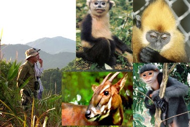 Giảm tiêu thụ các loài động vật hoang dã nguy cấp