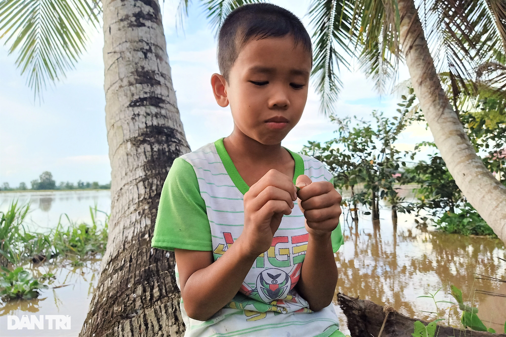 Cha mẹ bỏ rơi, bé 8 tuổi sống lay lắt với ngoại nghèo, nguy cơ thất học - 1 Cha mẹ bỏ rơi, bé 8 tuổi sống lay lắt với ngoại nghèo, nguy cơ thất học - 1