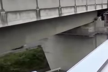 Tốc độ tàu cao tốc Nhật Bản khiến nhiều người kinh ngạc