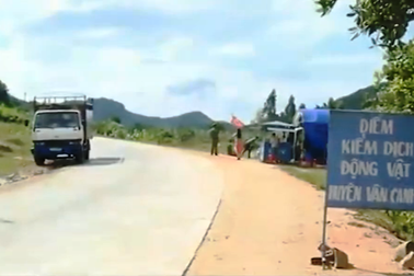 Vụ thu phí khử trùng với cả xe chở gỗ: Hoàn toàn sai