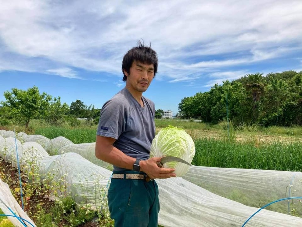 Cặp vợ chồng bỏ phố về quê, thuê đất trồng lúa, chăm rau trút bỏ stress - 4 Cặp vợ chồng bỏ phố về quê, thuê đất trồng lúa, chăm rau trút bỏ stress - 4