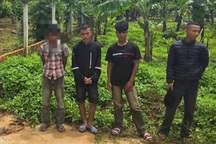 Cướp điện thoại bán lấy tiền mua bia ăn nhậu