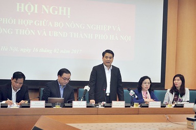 Chủ tịch Hà Nội: “Đê bê tông chịu được lực, an toàn khi mưa bão”