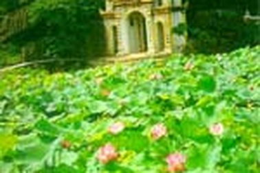 Việt Nam trong mắt các vị đại sứ nước ngoài