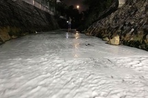 Xử phạt 5 doanh nghiệp "bức tử" môi trường