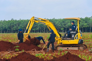 Triển khai tìm kiếm mộ tập thể liệt sĩ ở Đồng Nai vào 26/7
