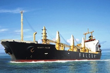 Bị nợ tiền lương, thuyền viên tàu Hearty Falcon kêu cứu