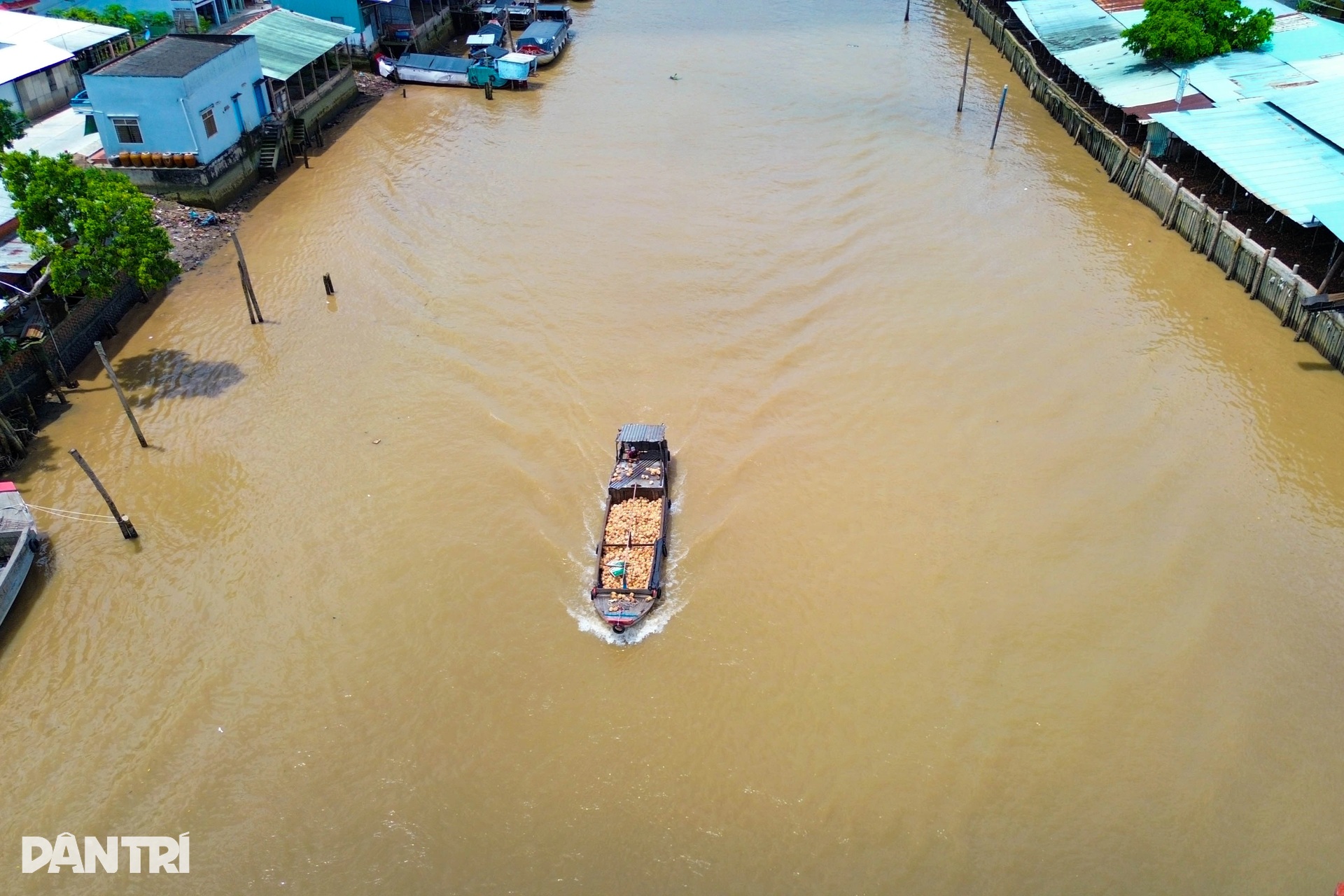 Người phụ nữ lột dừa tươi nhanh như máy, kiếm nửa triệu đồng mỗi ngày - 12