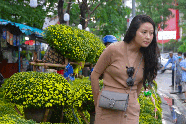 Cây kiểng, hoa Tết "xuống phố" sớm tại TPHCM