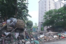 Ám ảnh cuộc sống gần mương rác thối giữa Thủ đô