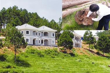 Phóng viên báo Tiền Phong bị đe dọa tính mạng