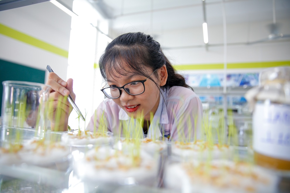 Hoang mang vì dịch, bạn trẻ lo lắng không biết học nghề gì để có việc làm - 2 Hoang mang vì dịch, bạn trẻ lo lắng không biết học nghề gì để có việc làm - 2