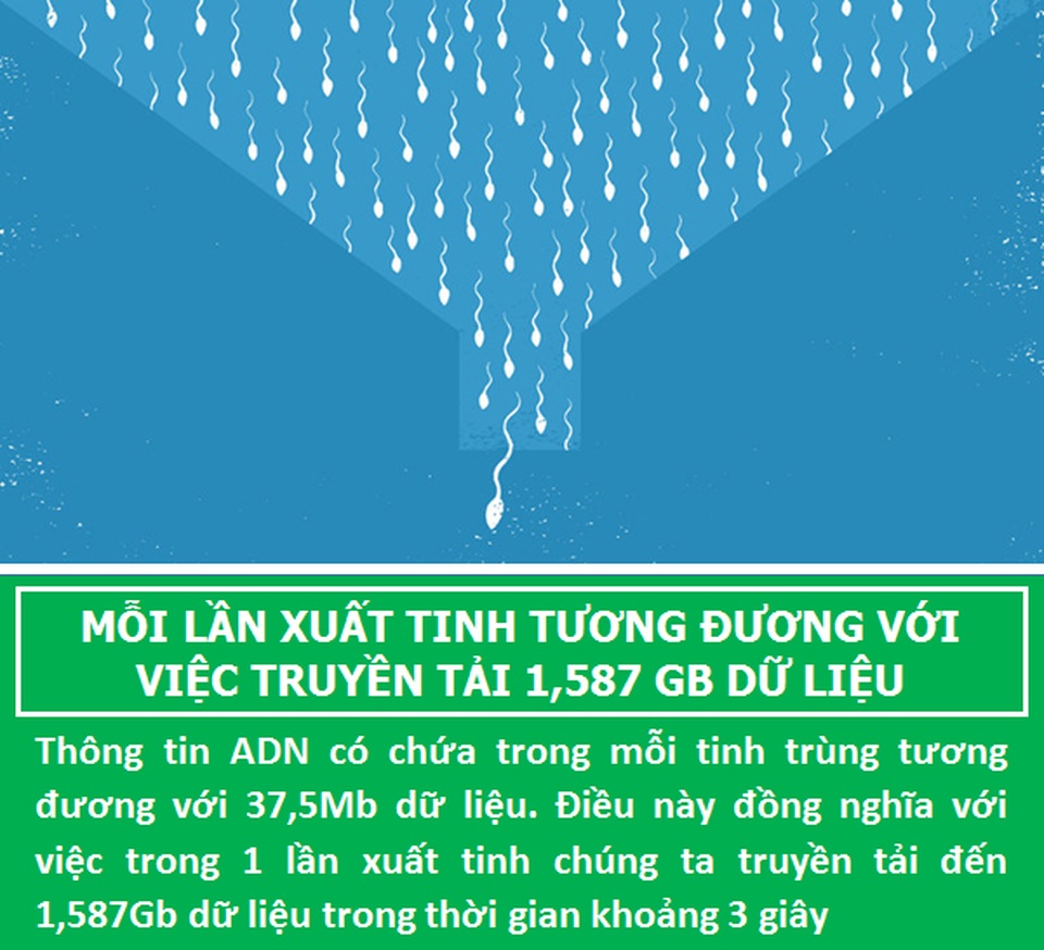 Bất ngờ với những sự thật ít biết về “đội quân” tí hon của các chàng - 3 Bất ngờ với những sự thật ít biết về “đội quân” tí hon của các chàng - 3