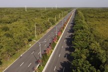 Vingroup trình cách làm metro 4 tỷ USD từ trung tâm TPHCM qua Cần Giờ