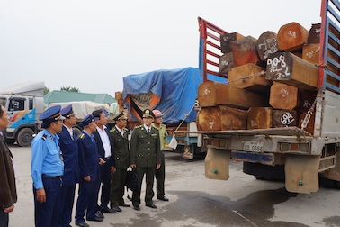 Buộc hạ tải 21 xe chở gỗ từ Lào về Việt Nam