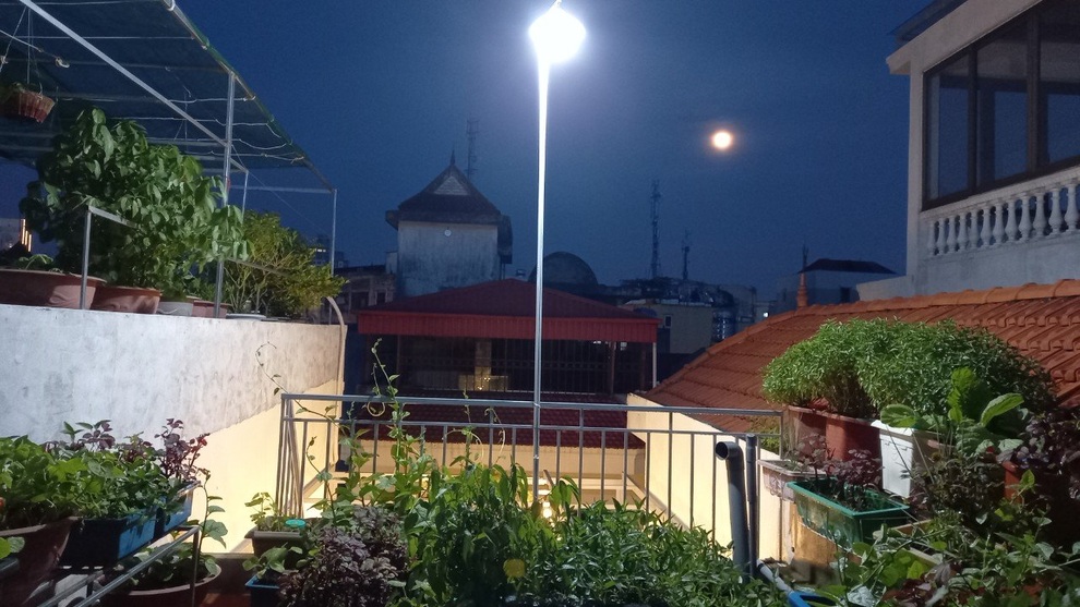 Gia đình làm vườn rau trên không xanh mướt nhờ rác thải nhà bếp - 8 Gia đình làm vườn rau trên không xanh mướt nhờ rác thải nhà bếp - 8