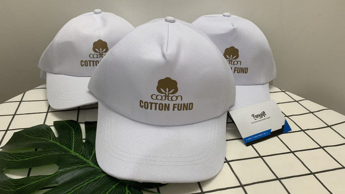 Hàng loạt nhà đầu tư Việt sập bẫy Cotton fund: Chết vì thính thơm? - 2