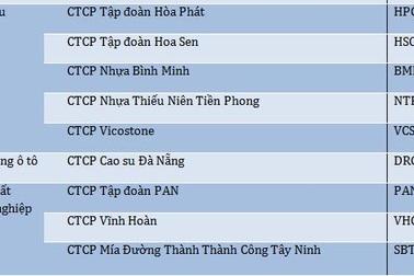 Hòa Phát lọt Top 50 Công ty niêm yết tốt nhất của Forbes lần thứ 5 liên tiếp