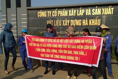 Chuyện khó tin ở Quảng Ninh: Trả lương công nhân bằng... gạch