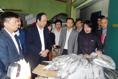 Hơn 2.600 tấn hải sản tồn kho tại Quảng Bình: Các Bộ vào cuộc tháo gỡ