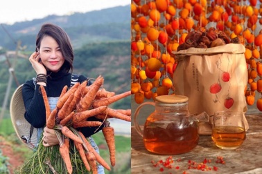 Người phụ nữ đam mê nông sản sạch, tới Đà Lạt làm hồng treo gió "mỏi tay"