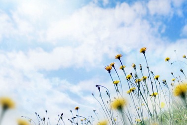 Tình yêu cũng cần có không gian để thở 