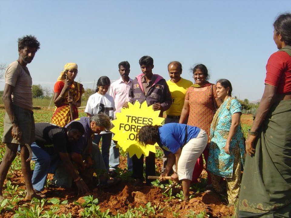 Ngưỡng mộ người phụ nữ trồng hơn 73.000 cây phủ xanh nơi mình sống - 2