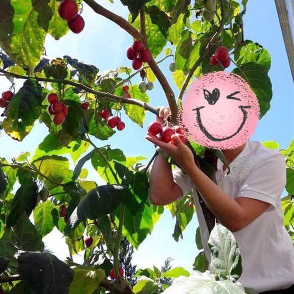 Quán quân âm nhạc chỉ mơ ước về quê chăn lợn và cuộc sống “ẩn dật” - 7 Quán quân âm nhạc chỉ mơ ước về quê chăn lợn và cuộc sống “ẩn dật” - 7