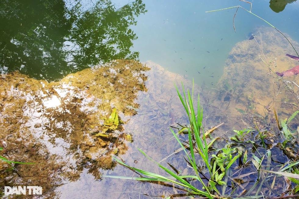 Kỳ lạ cặp giếng Mắt Rồng gần 500 năm tuổi chưa bao giờ cạn - 3