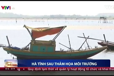 Ngư dân Hà Tĩnh khốn đốn sau thảm họa môi trường do Formosa