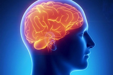 UniBrain – Dưỡng chất cho một trí tuệ minh mẫn