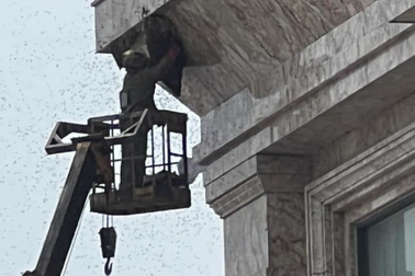 Khách sạn ở Hải Phòng phá tổ ong, 2 mẹ con đi đường bị ong đốt 100 nốt