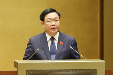 Quốc hội phê chuẩn bổ nhiệm Bộ trưởng TN&MT trong ngày họp đầu tiên