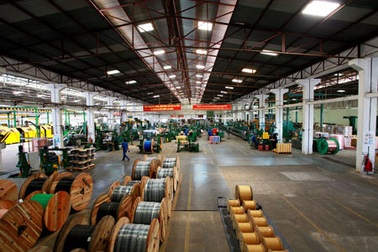 TCT CP Thiết bị điện Việt Nam hướng tới doanh thu trên 10.000 tỷ đồng/ năm