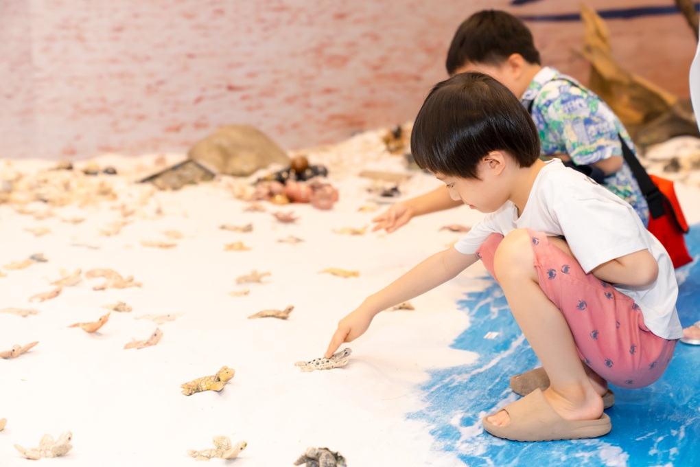 Ấn tượng triển lãm Phiêu cùng với 1.001 rùa biển bằng gốm - 3