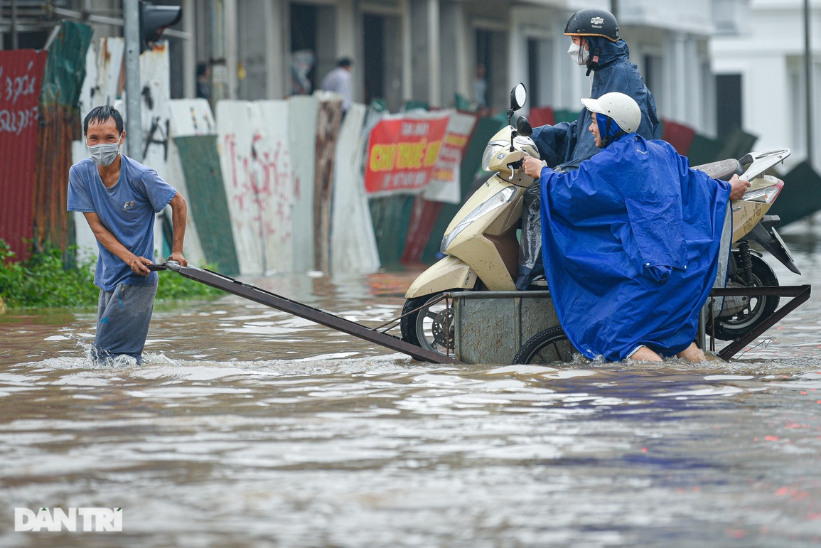 Hà Nội phố cũng như sông, dịch vụ chở người bằng xe bò kiếm bộn tiền - 3 Hà Nội phố cũng như sông, dịch vụ chở người bằng xe bò kiếm bộn tiền - 3