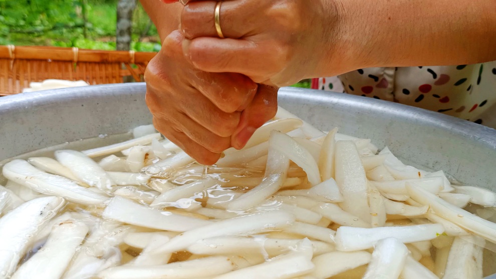 Tự trồng, thu hoạch và làm món củ cải trắng ngâm tương - 4 Tự trồng, thu hoạch và làm món củ cải trắng ngâm tương - 4