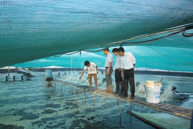 Lấy doanh nghiệp làm trung tâm để đổi mới và ứng dụng khoa học và công nghệ