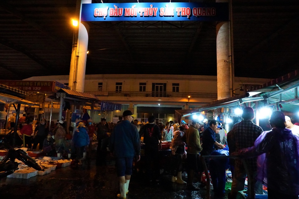 Đà Nẵng: Trắng đêm ở cảng cá lớn nhất miền Trung - 15 Đà Nẵng: Trắng đêm ở cảng cá lớn nhất miền Trung - 15