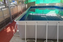 Khánh Hòa: Bể bơi nửa tỷ đồng để không, phụ huynh “nóng ruột”