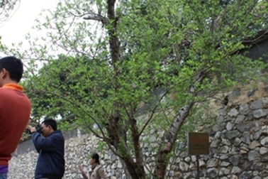 Lên Tây Bắc ghé thăm “địa ngục trần gian”