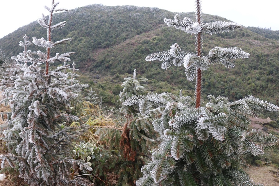 Nhiệt độ xuống dưới 1 độ C, đồ dùng sinh hoạt của người dân bị 