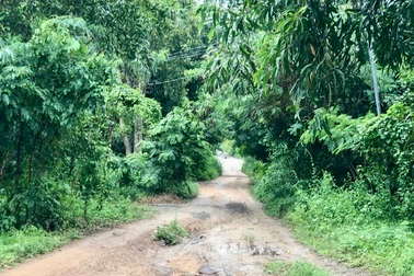 Điều tra vụ án con sát hại mẹ, chém trọng thương chị gái ở TPHCM