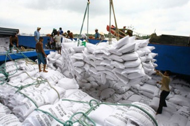 Vẫn  tồn cỡ 800.000 tấn gạo trong doanh nghiệp