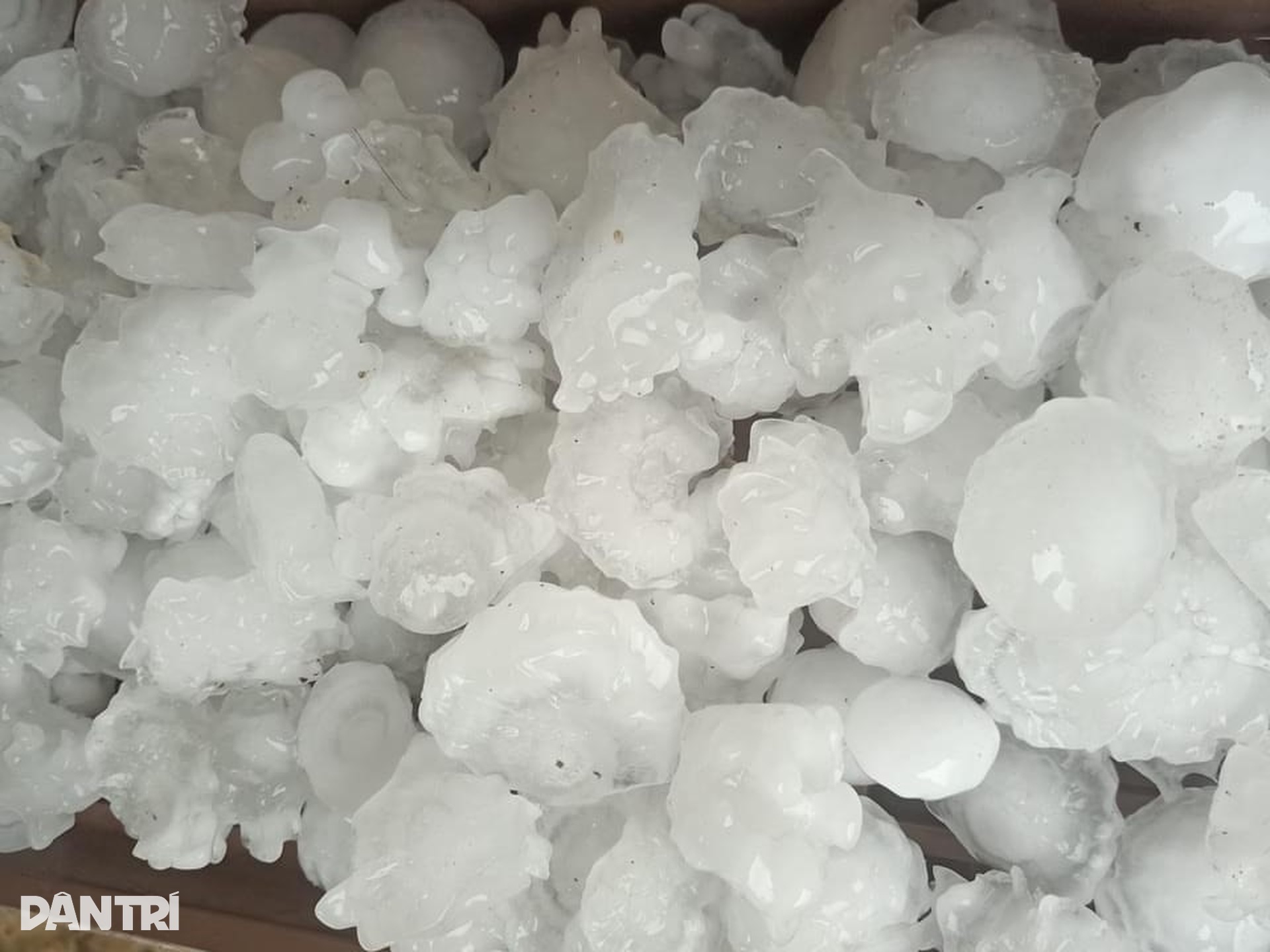 Mưa đá trắng trời ở các huyện biên giới Nghệ An - 2 Mưa đá trắng trời ở các huyện biên giới Nghệ An - 2