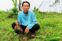 Quảng Bình: Một hộ dân kêu cứu vì bị phá hoại tài sản, hành hung và doạ giết