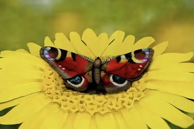 Tác phẩm body-painting ngoạn mục của nghệ sĩ Johannes Stötter