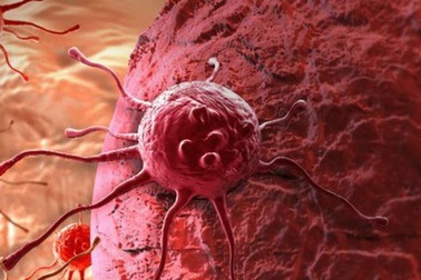 Khám phá cơ chế kháng thuốc của tế bào ung thư